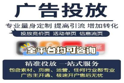 案例对比：不同竞价广告平台的优劣